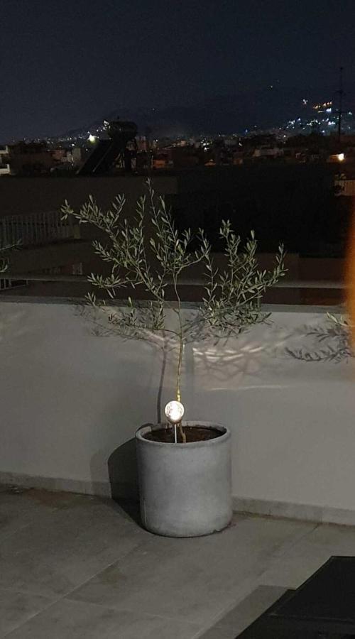 My Home In Greece Athen Eksteriør billede